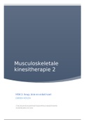 Theorie MSK 2