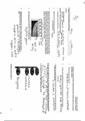 AP Biology Reading Guide/Homework Chapter 23: Broad Patterns of Evolution