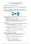 Beleidsinformatica Samenvatting - Handelsingenieur & TEW - 18/20 eerste zit