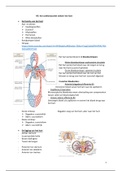 Samenvatting anatomie & fysiologie II H2