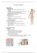 Samenvatting anatomie II H4