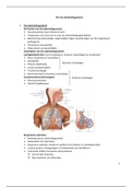 Samenvatting anatomie II H6