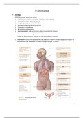 Samenvatting anatomie II H7