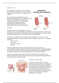 Uitwerking ziektebeeld Appendicitis