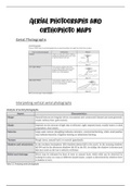 IEB Grade 12 Geography-Aerial photographs and orthophoto maps