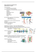 Cel tot Molecuul thema 3 Membranen en Transportprocessen