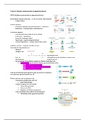 Cel tot molecuul Thema 6 Cellulaire communicatie en signaaloverdracht