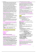  NUR 601 Antibiotics Study Guide