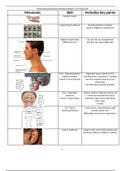 Chamberlain College Of Nursing > NR 509 Week 7 Memorizing Immersion Weekend Head to Toe Check Off (6 Pages/Slides): >GRADED A.