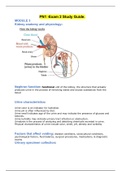 PN1 -Exam 2 Study Guide.