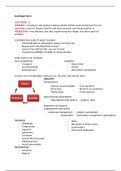 Summary Intro Tourism - Year 1, block 1 - International Tourism Management