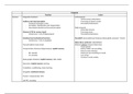 Table with Lesions and Functions Temporal Lobe