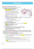 NUR 4545 - Antepartum Worksheet (100% correct).