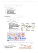 Invertebraten HD 32, 33 Campbell Biology