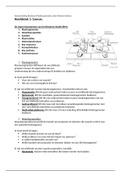 Samenvatting Business Model Generatie H1, H2, H4 en H5, Als Osterwalder & Yves Pigneur