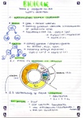 Samenvatting biologie 6e jaar ASO BIOgenie 5.2/6.2 thema 2 Doorgeven van DNA tijdens celdelingen