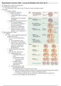 Reproductive System: Male - Lesson 26 (Modules 26.1-26.3, 26.7)