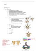 Specificatietabel periode 2 jaar 1 Fysiotherapie