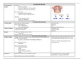 Pulmonology Block Chart