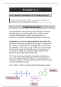 BTEC Applied Science: Respiration in humans Unit 10 Assignment 2