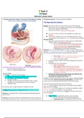 NURSING 306 OB 2 Exam 2 StudyGuide OB Hartman GOLD COPY