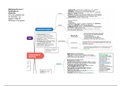 Mindmap H4, 6 en 7 van Fysiologie en Anatomie