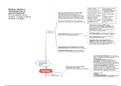 Mindmap 1 Pathologie en Dietetiek: Allergie en aandoeningen lever- en spijsverteringskanaal