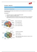 samenvatting neurologie   examenvragen