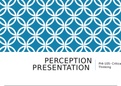 PHI-105 Topic 2 Assignment: Perception Presentation