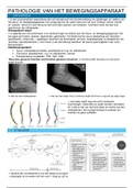 Pathologie van het bewegingsapparaat 