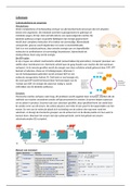 Celbiologie: hoofdstuk 5: celmetabolisme en enzymen, Lydia Hendriks