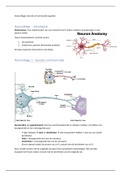 Tentamenstof neuronale en hormonale regulatie