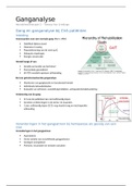 Samenvatting ganganalyse bij CVA en orthesen van T. Van Criekinge