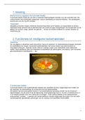 samenvatting leerpad product design 3 