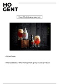 Paper marketingplan Gulden Draak