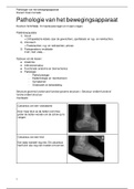 Samenvatting Pathologie van het bewegingsapparaat 