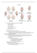 Obstetrics notes 