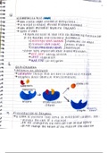 Human Physiology Notes on Enzymes 