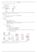 Resumen completo  Biología Molecular