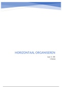 Samenvatting Horizontaal Organiseren IVM conceptueel AIV-V3IVMC-20 