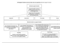 Mindmap-samenvatting | Hoofdstuk 4: Orthoagogisch handelen vereist een zekere mate van organisatie | Graduaat Orthopedagogie