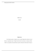  Wk 2   Budget Issues Paper.docx   Budget issues  CJA/365  Budget issues  Every business, agency or company is run by a specific budget that is tailored to its own business or organization needs. A budget forms the heart of any business or company such th