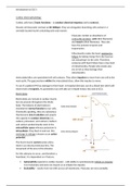 Introduction to ECGs 