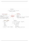 Adrenaline and Amiodarone: Cardiac Arrest Drug Mindmap Summaries