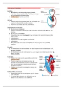 Hartfalen met decompensatio Cordis, forward- en backward failure, bloedvaten, angina pectoris ter voorbereiding op de digitale kennistoets thema 4.