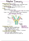 Adaptive Immunity Quick Summary - Immunology