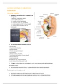 leerdoelen medische fysiologie, oculaire anatomie, neuroantomie en fysiologie & pathologie en oogheelkunde