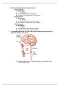 Class notes introduction to neuroscience Week 11