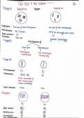  Class 11 CBSE Cell division and cycle notes