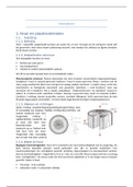 Samenvatting  Materiaalkennis -Verlee 